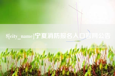 温岭宁夏消防报名入口官网公告