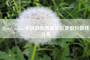 温岭中国消防救援学院录取分数线公布