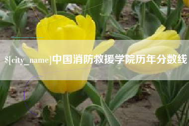 温岭中国消防救援学院历年分数线