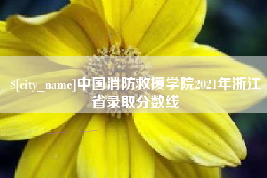 温岭中国消防救援学院2021年浙江省录取分数线