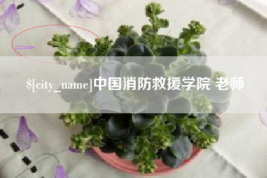 温岭中国消防救援学院 老师