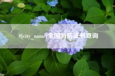 温岭全国消防证书查询