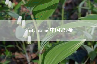 温岭中国第9金