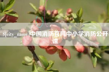 温岭中国消防官网中小学消防公开课