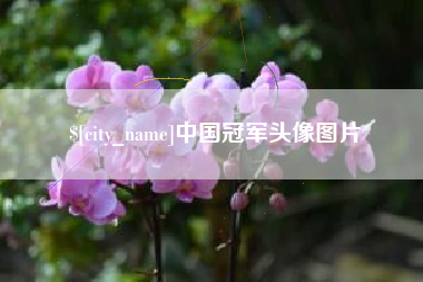 温岭中国冠军头像图片