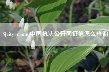 温岭中国执法公开网征信怎么查询