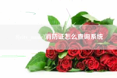 温岭消防证怎么查询系统