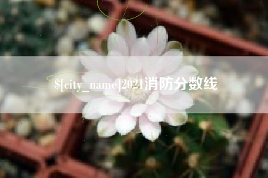 温岭2021消防分数线