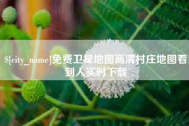 温岭免费卫星地图高清村庄地图看到人实时下载