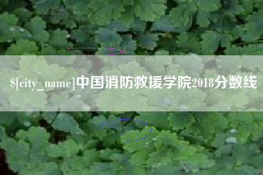 温岭中国消防救援学院2018分数线