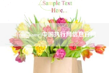 温岭中国执行网信息官网