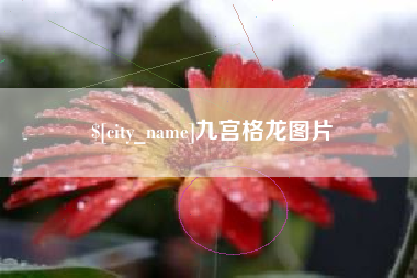 温岭九宫格龙图片
