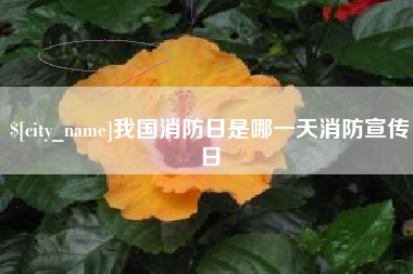 温岭我国消防日是哪一天消防宣传日