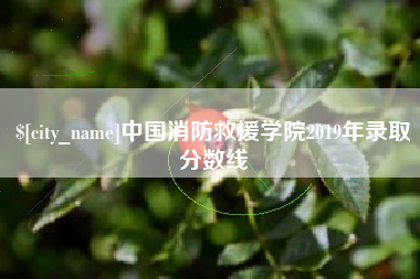 温岭中国消防救援学院2019年录取分数线