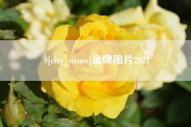 温岭金牌图片2021
