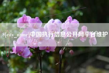 温岭中国执行信息公开网平台维护