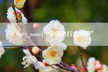 温岭“中国执行公开网”