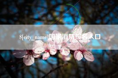 温岭国家消防报名入口