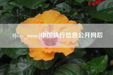 温岭中国执行信息公开网后
