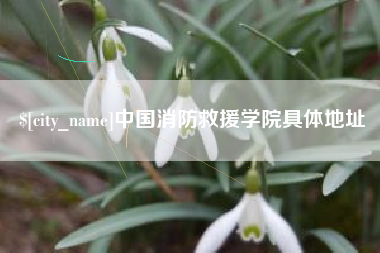 温岭中国消防救援学院具体地址