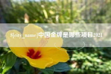 温岭中国金牌是哪些项目2021