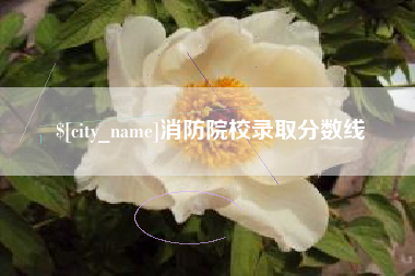 温岭消防院校录取分数线