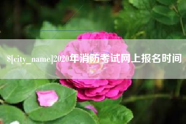 温岭2020年消防考试网上报名时间