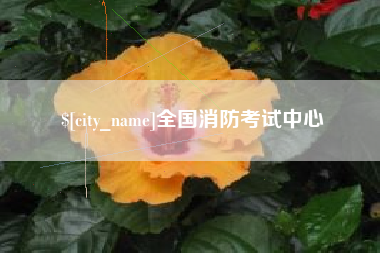 温岭全国消防考试中心