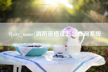 温岭消防资格证怎么查询系统