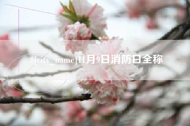 温岭11月9日消防日全称