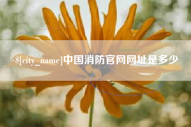 温岭中国消防官网网址是多少