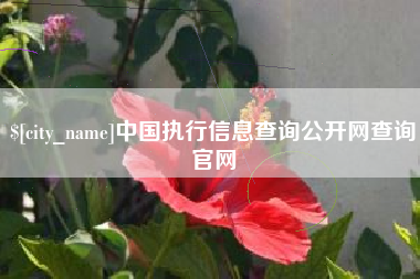 温岭中国执行信息查询公开网查询官网