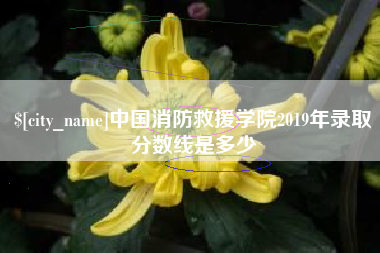 温岭中国消防救援学院2019年录取分数线是多少