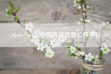 温岭中国执行信息公开平台