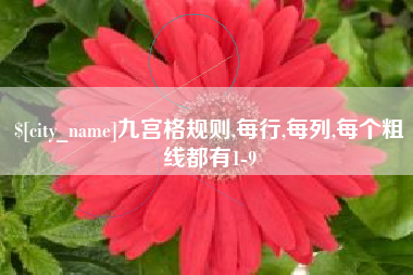 温岭九宫格规则,每行,每列,每个粗线都有1-9