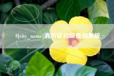 温岭消防证初级查询系统