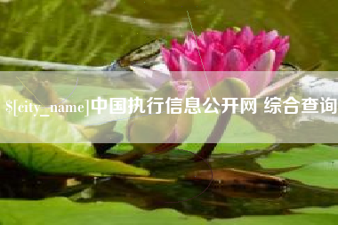 温岭中国执行信息公开网 综合查询