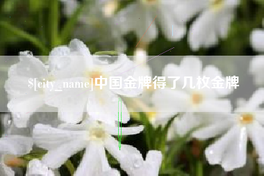 温岭中国金牌得了几枚金牌