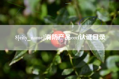 温岭消防产品cccf认证目录
