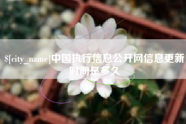 温岭中国执行信息公开网信息更新时间是多久