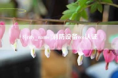 温岭消防设备ccc认证