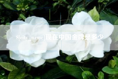 温岭现在中国金牌是多少