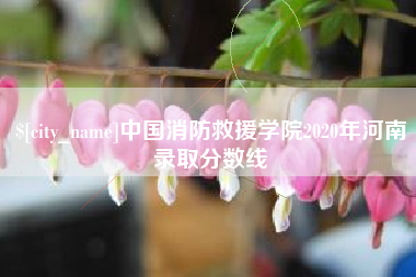 温岭中国消防救援学院2020年河南录取分数线