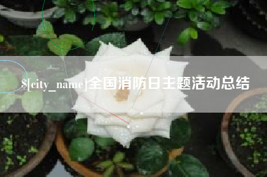 温岭全国消防日主题活动总结