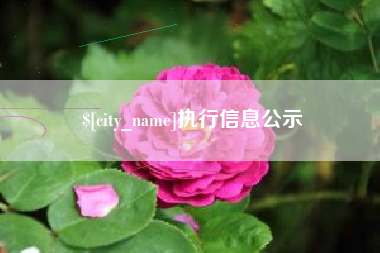 温岭执行信息公示