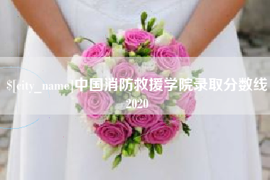 温岭中国消防救援学院录取分数线2020