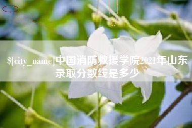 温岭中国消防救援学院2021年山东录取分数线是多少