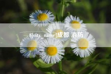 温岭成都 消防