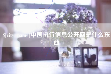 温岭中国执行信息公开网是什么东西