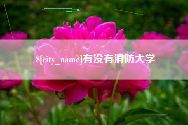 温岭有没有消防大学